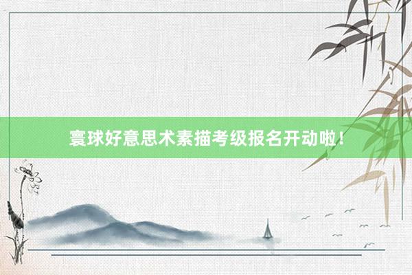 寰球好意思术素描考级报名开动啦！